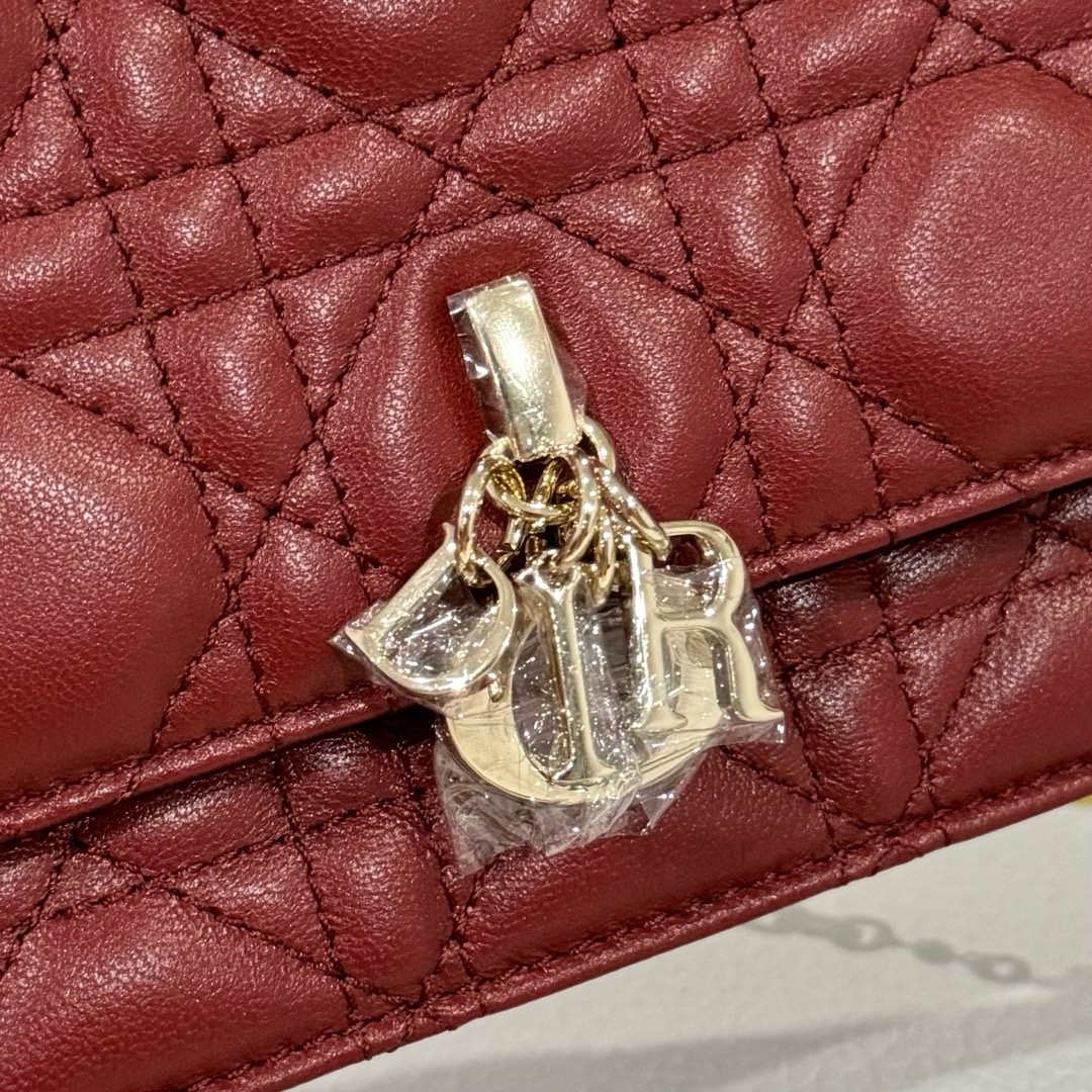 My Dior Mini Bag – Zeko Bag