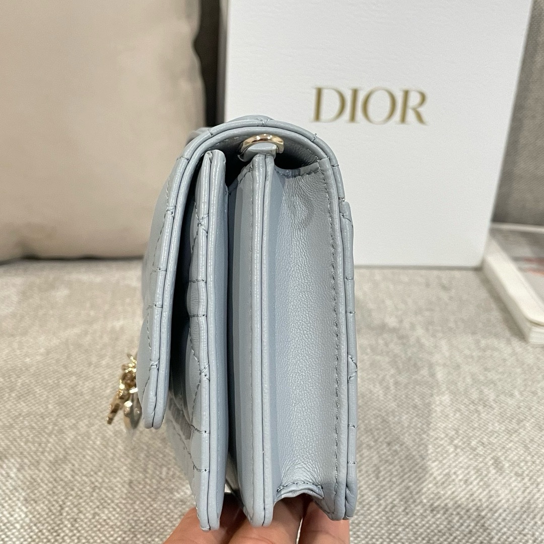 My Dior Mini Bag – Zeko Bag